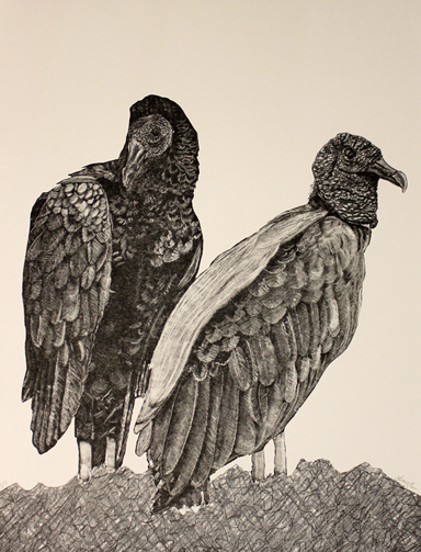 vultures